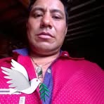 Profile Picture of Alex Chávez (@alex.chavez.275430) on Facebook