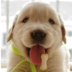 Oliver Liao - Instagram Profile Picture of Oliver Liao (@oliver3686) on Instagram