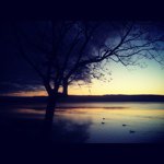 Profile Picture of Matthew Mccarthy (@matthew_mccarthy98) on Instagram