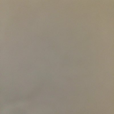 Profile Picture of FL (@TrevorDistad) on Twitter