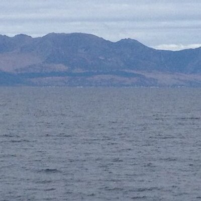 Profile Picture of William Murdoch (@smallman13167) on Twitter