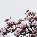 Profile Picture of Jeanelle Roberts (@jeanellem2000) on Instagram