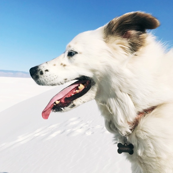 Profile Picture of Emma Hanawalt (@emhanawalt) on Poshmark