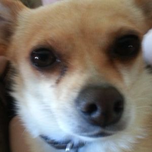 Profile Picture of chrisnoeth119 (@chrisnoeth119) on Tiktok