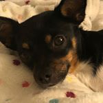 Profile Picture of Laurel Higgins (@laurel.higgins.3) on Instagram