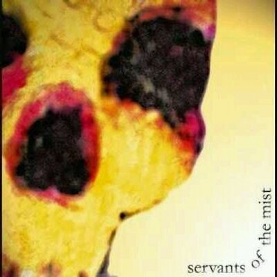 Profile Picture of Edward Tobar (@TobarEdward) on Twitter
