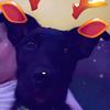 Profile Picture of Tam Bryan (@@tamrk0) on Tiktok