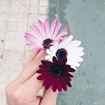 Profile Picture of sara (@sara.shahnavaz) on Instagram