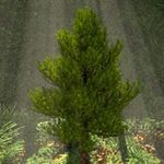 Profile Picture of Jonathan Formosa (@vfx_meme_101) on Instagram