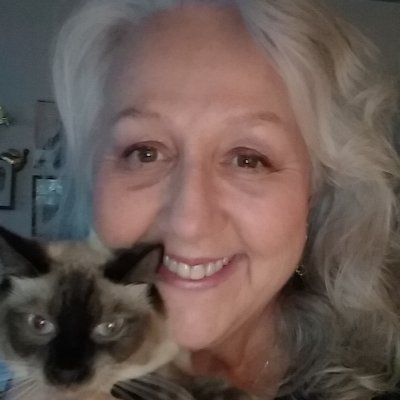 Profile Picture of Paula Mathews (@KittenPaula) on Twitter