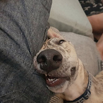 Profile Picture of Tim Walters (@timwalters44) on Flickr