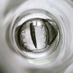 Profile Picture of Martín Medrano Cervera (@aserejeiacorre) on Instagram