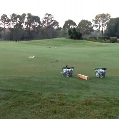 Profile Picture of Al Pelzer (@apelzer) on Twitter