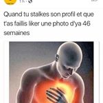 Profile Picture of Alice Tremblay (@alicet2222) on Instagram