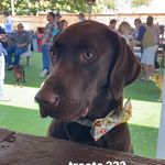 Profile Picture of David Cosper (@dtcgolf) on Instagram