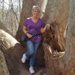 Profile Picture of Darlene Pfaffenroth Wiegman (@darlenewiegman) on Instagram