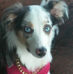 Profile Picture of Kenneth Crager (@donna.crager.1) on Facebook