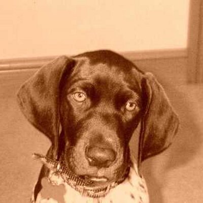 Mia Barber - Twitter Profile Picture of Mia Barber (@miabarber2_mia) on Twitter