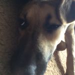Profile Picture of Alyssa Tompkins (@alyssa.jo1229) on Instagram