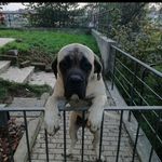 Profile Picture of Roberto Schenoni (@robertoschenoni) on Instagram