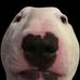 Profile Picture of Ignacio Monge (@ignacio.monge.121) on Facebook