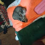 Profile Picture of Maureen Rudkin (@Maureen-Rudkin) on Facebook