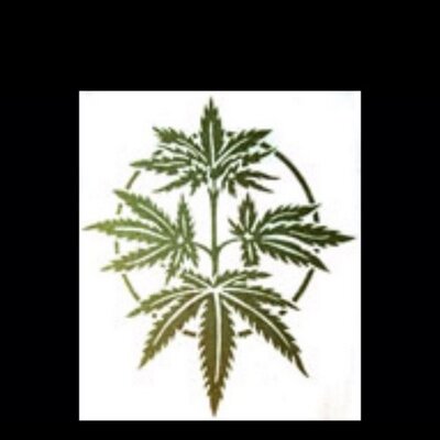 Profile Picture of Kyle Jennings (@kylejennings6) on Twitter