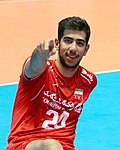Profile Picture of Javad Karimion Wikipedia
