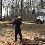 Profile Picture of Matt Childs (@tree_3po) on Instagram