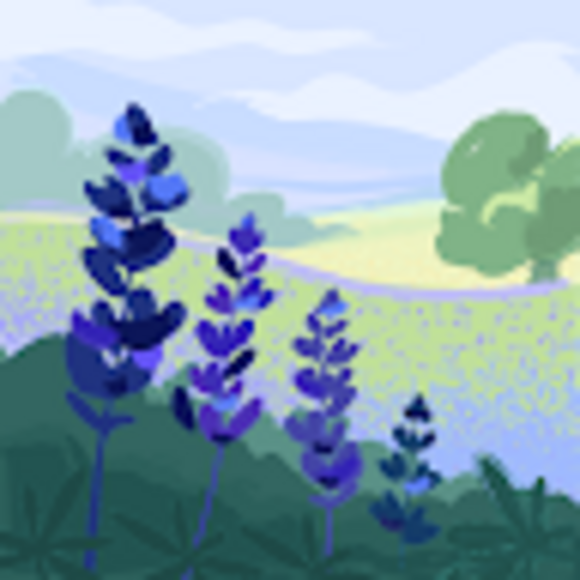 Profile Picture of Addison Lundstrom (@addisonlundstro) on Poshmark