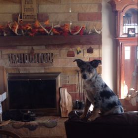 Profile Picture of Audrey White (@ahhdre) on Pinterest