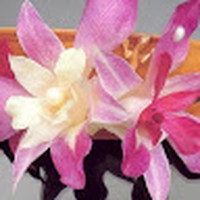 Profile Picture of Peter Honeyman (@peter-honeyman-8) on Quora