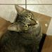 Profile Picture of Andrea Stevens (@andrea.stevens.56884) on Facebook