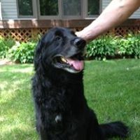 Profile Picture of Vicky Klein (@vicky-klein-2) on Quora