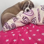 Profile Picture of Elisabeth Köksal (@Elisabeth-Köksal) on Facebook