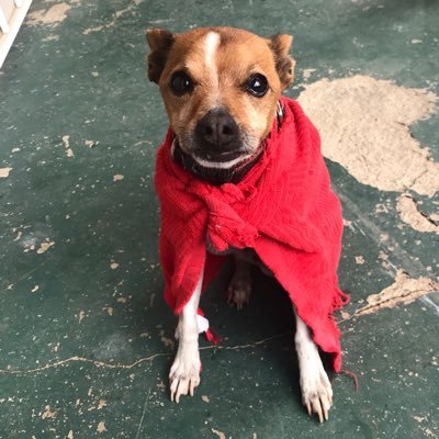 Profile Picture of Andrea (@_wullschleger) on Twitter