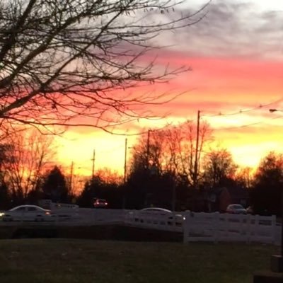 Profile Picture of Nathan Nalley (@NalleyNalley1) on Twitter