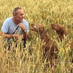 Profile Picture of Mark Maynard (@mjmaynard7) on Instagram