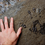 Ryan_shipe - Flickr Profile Picture of Ryan_shipe (@ryan_shipe) on Flickr