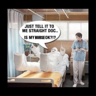 Profile Picture of Brian Ennis (@muleennis) on Twitter