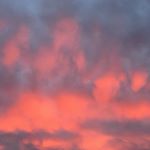 Profile Picture of julia brousseau (@jooliab) on Instagram