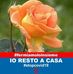 Profile Picture of Concetta Scrudato (@concetta.scrudato.1) on Facebook