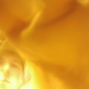 Profile Picture of Matt Freemantle (@196733004) on Myspace