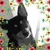 Profile Picture of Tamara ReadHubbell (@tamarareadhubbell) on Facebook