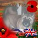 Profile Picture of Robert Cairns (@robert.cairns.50115) on Facebook
