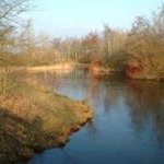 Profile Picture of Anne Spinder (@annespinder) on Instagram