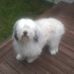 Profile Picture of Barbara Platt (@barbara.platt.710) on Facebook