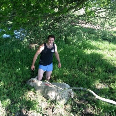 Profile Picture of Bob Stubbs (@crowton_clogger) on Twitter