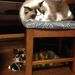 Profile Picture of Hiromi Aoki (@gurikebaking) on Pinterest