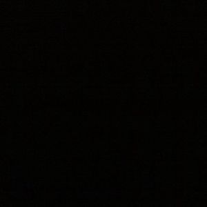 Profile Picture of Tracey Downing (@tdallas2011) on Myspace